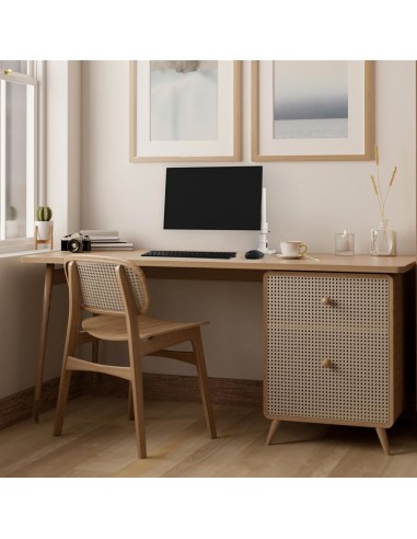 Ergotron NX Series NX MONITOR ARM WHITE 86,4 cm (34") Negro, Blanco Escritorio