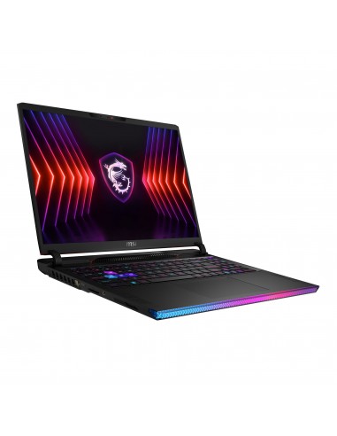 MSI Gaming Raider GE68 HX 14VHG-432ES Intel® Core™ i9 i9-14900HX Portátil 40,6 cm (16") Quad HD+ 32 GB DDR5-SDRAM 2 TB SSD