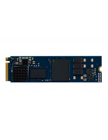 Kingston Technology DC2000B M.2 960 GB PCI Express 4.0 NVMe 3D TLC