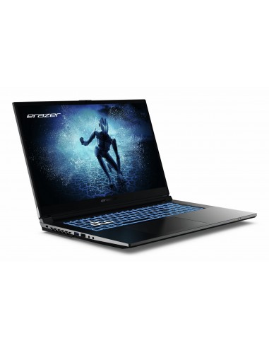 ERAZER MD62643 Intel® Core™ i7 i7-12650H Portátil 43,9 cm (17.3") Full HD 16 GB DDR4-SDRAM 1 TB SSD NVIDIA GeForce RTX 4060