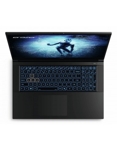 ERAZER MD62643 Intel® Core™ i7 i7-12650H Portátil 43,9 cm (17.3") Full HD 16 GB DDR4-SDRAM 1 TB SSD NVIDIA GeForce RTX 4060