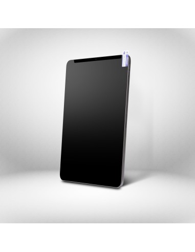 StarTech.com Filtro de Privacidad Táctil de 4 Vías para Orientación Horizontal Vertical + -30° Anti Luz (51%) Mate para iPad