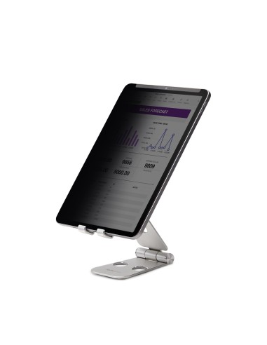 StarTech.com Filtro de Privacidad Táctil de 4 Vías para Orientación Horizontal Vertical + -30° Anti Luz (51%) Mate para iPad