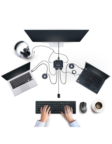 StarTech.com C2-D46-UC2-CBL-KVM interruptor KVM Negro StarTech.com C2-D46-UC2-CBL-KVM interruptor KVM Negro