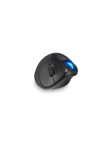 Kensington Pro Fit Ergo TB450 ratón Oficina mano derecha RF Wireless + Bluetooth Trackball 1600 DPI