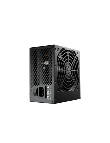 FSP HYPER 80+ PRO 650W unidad de fuente de alimentación 24-pin ATX ATX Negro