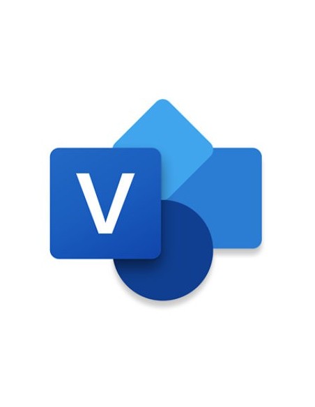 Microsoft Visio Professional 2024 Representación mediante gráficos Completo 1 licencia(s)