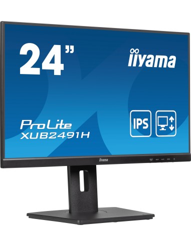 iiyama ProLite XUB2491H-B1 pantalla para PC