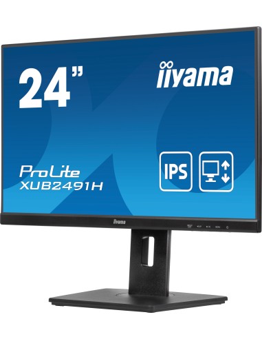 iiyama ProLite XUB2491H-B1 pantalla para PC