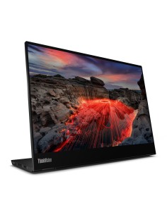 Lenovo ThinkVision M14t pantalla para PC 35,6 cm (14") 2240 x 1400 Pixeles 2.2K LED Pantalla táctil Negro 2