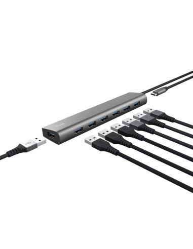 Trust Halyx USB 3.2 Gen 1 (3.1 Gen 1) Type-A 5000 Mbit s Plata