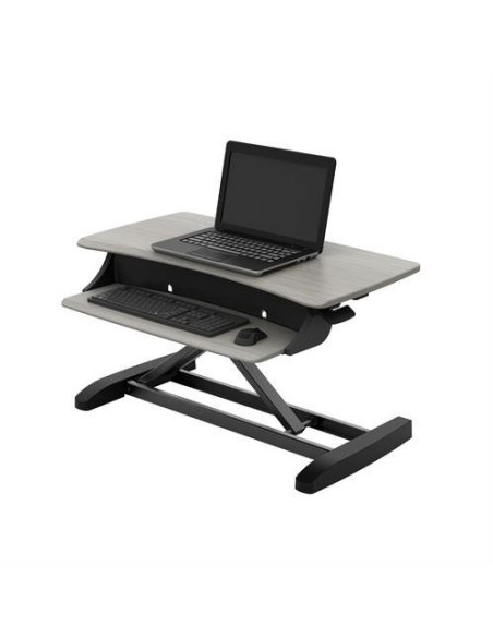 Ergotron WorkFit-Z Mini