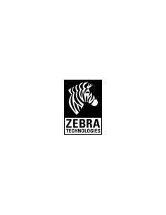 Zebra Kit Drive Belt for 300 & 600 dpi ZMx00 correa para impresora 2
