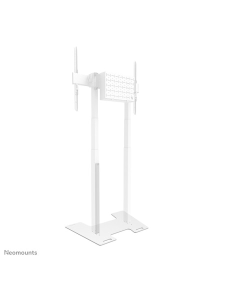 Neomounts AFP-875WH Placa de suelo - atornillable