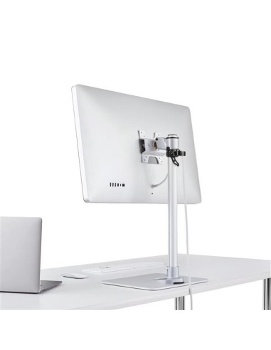 StarTech.com Soporte de Sobremesa para Monitor