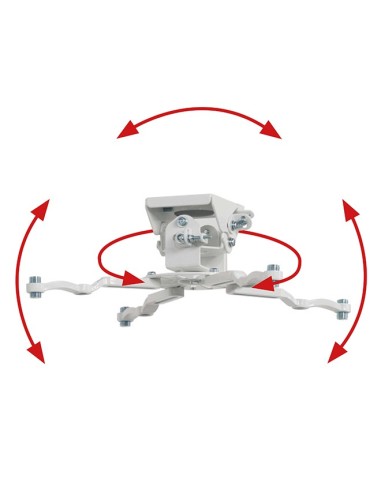 B-Tech BT899 montaje para projector Techo Blanco