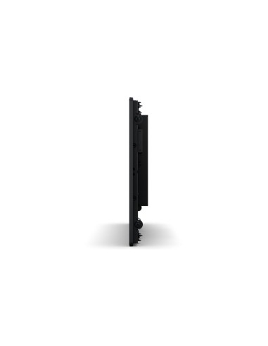 Elo Touch Solutions 2094L 49,5 cm (19.5") LED 225 cd   m² Negro Pantalla táctil