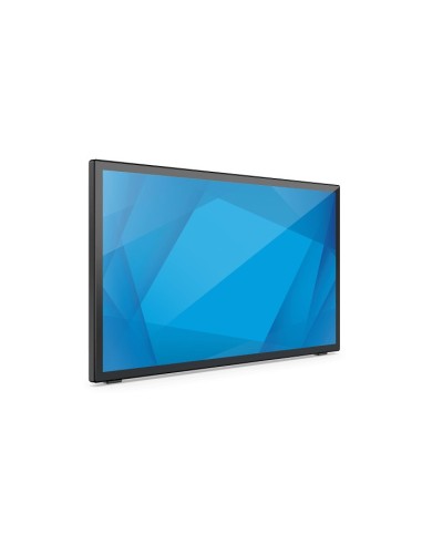 Elo Touch Solutions E510259 pantalla para PC 54,6 cm (21.5") 1920 x 1080 Pixeles 4K Ultra HD LCD Pantalla táctil Negro