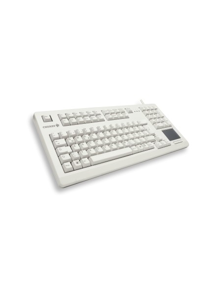 CHERRY TouchBoard G80-11900 teclado Industrial USB QWERTY Inglés Gris