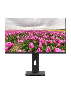 V7 Monitor LED IPS de 1920 × 1080 Full HD de 23.8″
