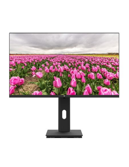 V7 Monitor LED IPS de 1920 × 1080 Full HD de 23.8″
