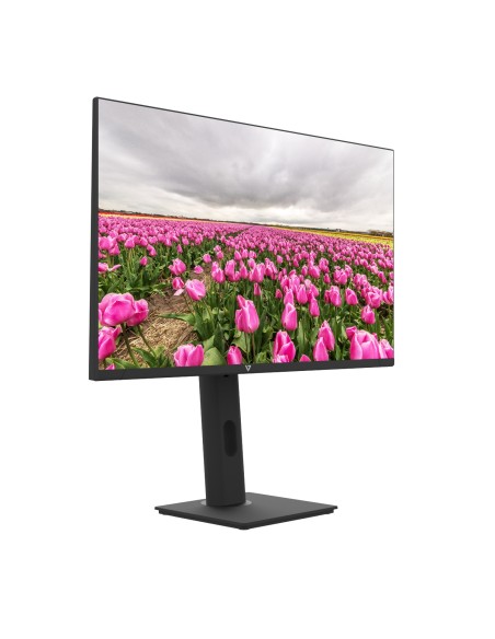 V7 Monitor LED IPS de 1920 × 1080 Full HD de 23.8″