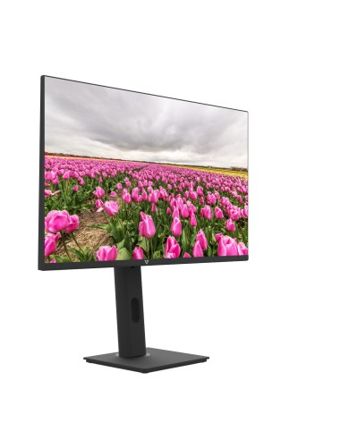 V7 Monitor LED IPS de 1920 × 1080 Full HD de 23.8″
