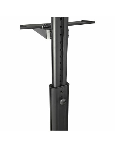 StarTech.com Carrito Ergonómico con Ajuste de Altura para Estación de Trabajo Móvil - con Soporte VESA para Monitor - con