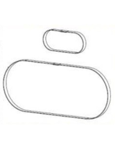 Zebra P1046696-146 pieza de repuesto de equipo de impresión Cinturón 2 pieza(s)