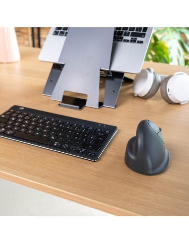 R-Go Tools Ratón vertical R-Go HE Basic, ratón ergonómico, mediano (longitud de mano 165-185mm), diestro, Bluetooth