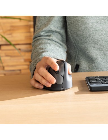 R-Go Tools Ratón ergonómico R-Go HE Break con software de pausa, grande (tamaño de mano ≥ 185 mm), diestro, bluetooth, negro