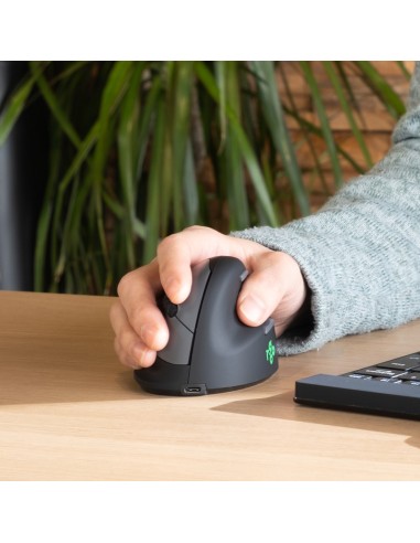 R-Go Tools Ratón ergonómico R-Go HE Break con software de pausa, grande (tamaño de mano ≥ 185 mm), diestro, bluetooth, negro