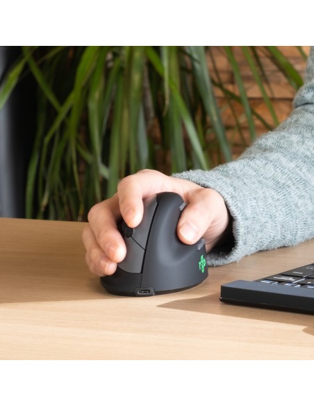 R-Go Tools Ratón ergonómico R-Go HE Break con software de pausa, grande (tamaño de mano ≥ 185 mm), diestro, bluetooth, negro R-Go Tools Ratón ergonómico R-Go HE Break con software de pausa, grande (tamaño de mano ≥ 185 mm), diestro, bluetooth, negro