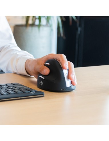 R-Go Tools Ratón ergonómico R-Go HE Break con software de pausa, grande (tamaño de mano ≥ 185 mm), zurdo, bluetooth, negro