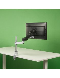 R-Go Tools Brazo de monitor R-Go Caparo Single para un monitor capacidad de carga de 3-9 kg, ajustable con resorte de gas,
