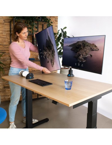 R-Go Tools Brazo de monitor R-Go Caparo Dual para dos monitores capacidad de carga de 3-9kg, ajustable con resorte de gas,