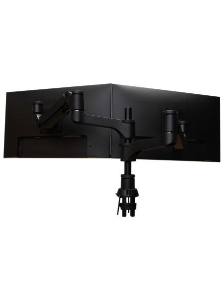 R-Go Tools Brazo de monitor R-Go Caparo Dual para dos monitores capacidad de carga de 3-9kg, ajustable con resorte de gas,