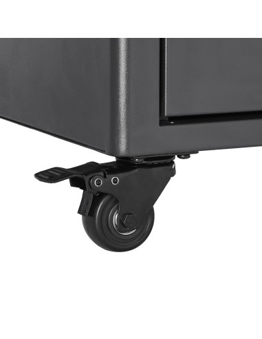 V7 RM4CASTERS-1E accesorio de bastidor Ruedas giratorias