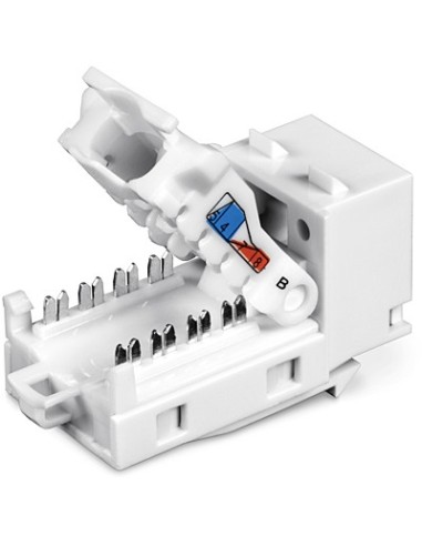 Trendnet TC-K50C6 módulo de conector de red