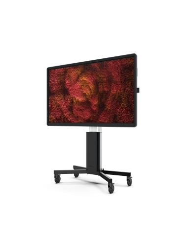 CTOUCH Canvas pizarra blanca interactiva 165,1 cm (65") 3840 x 2160 Pixeles Pantalla táctil Negro