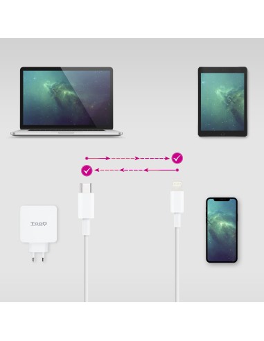 TooQ 10.10.0602 cable de conector Lightning 2 m Blanco