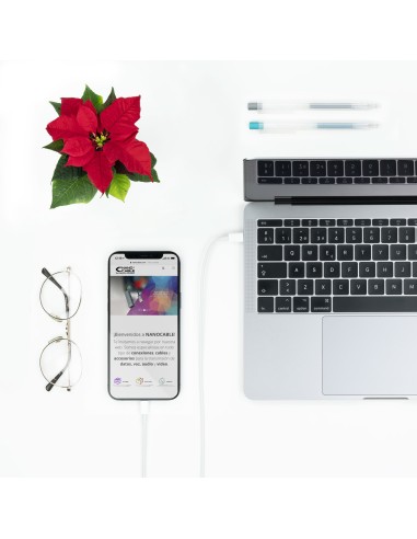 TooQ 10.10.0602 cable de conector Lightning 2 m Blanco