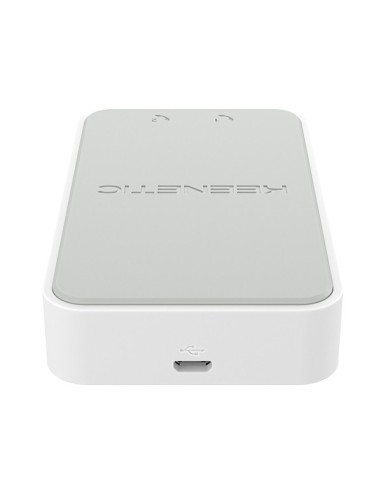 Keenetic Linear Adaptador USB de teléfono analógico de dos puertos