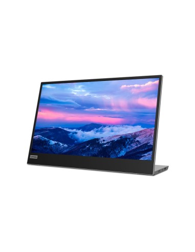 Lenovo L15 LED display 39,6 cm (15.6") 1920 x 1080 Pixeles Full HD Negro, Gris