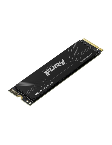 Kingston Technology 1T FURY RENEGADE G5 M.2 2280 NVMe SSD Kingston Technology 1T FURY RENEGADE G5 M.2 2280 NVMe SSD