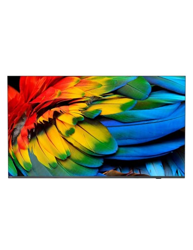 Philips 43HFL6214U 109,2 cm (43") 4K Ultra HD Smart TV Wifi Antracita 400 cd   m² Pantalla flexible