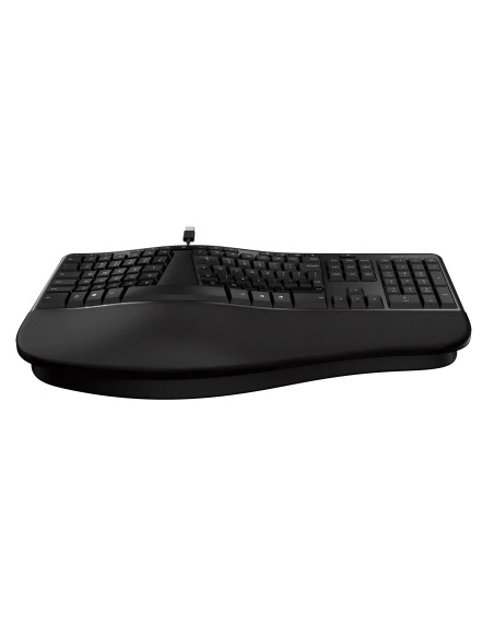 Incase Designed by Microsoft Ergonomic Keyboard teclado Oficina USB QWERTY Inglés Negro