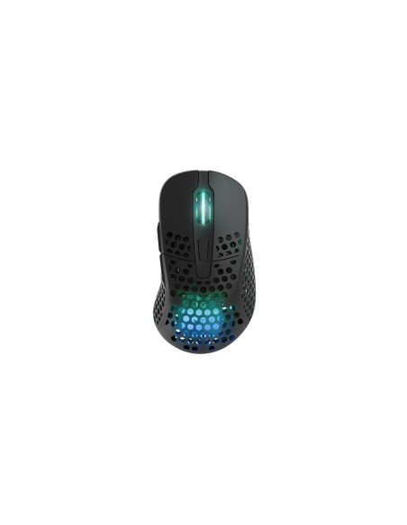CHERRY XTRFY M4 RGB ratón Juego mano derecha RF Wireless + USB Type-C Óptico 19000 DPI