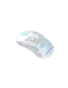 CHERRY XTRFY M4 RGB ratón Juego mano derecha RF Wireless + USB Type-C Óptico 19000 DPI 2