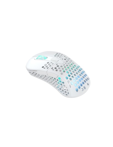 CHERRY XTRFY M4 RGB ratón Juego mano derecha RF Wireless + USB Type-C Óptico 19000 DPI